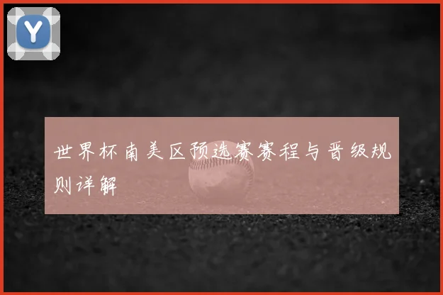 世界杯南美区预选赛赛程与晋级规则详解