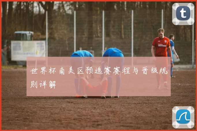 世界杯南美区预选赛赛程与晋级规则详解